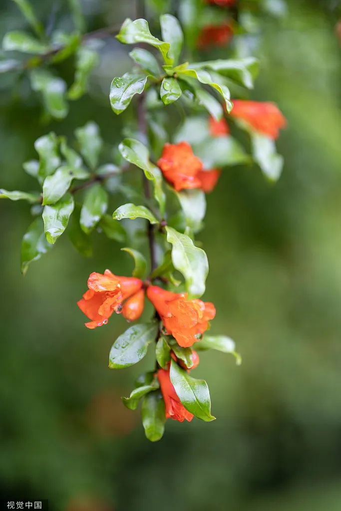 AG真人·(中国)官方网站