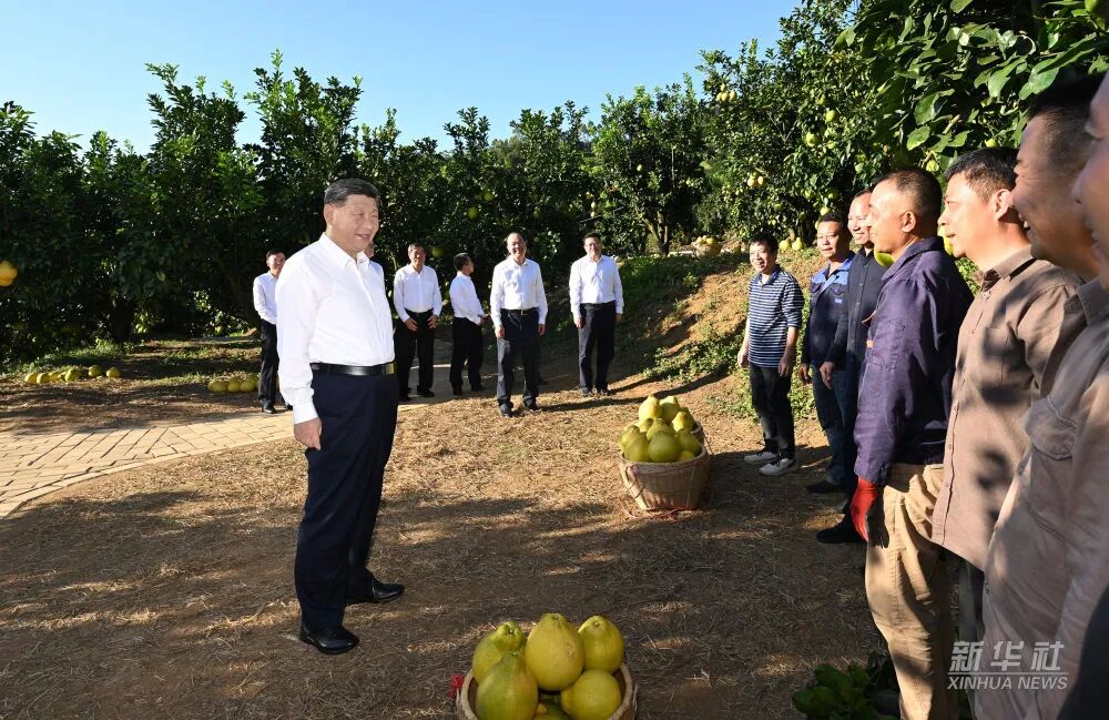AG真人·(中国)官方网站